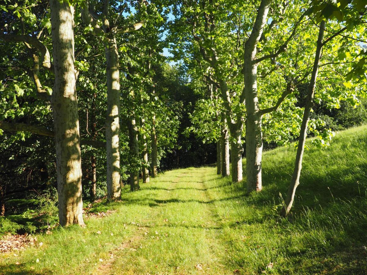 La Souveraine Saint-Genis-Laval Esterno foto